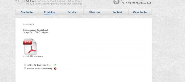 Screen-PDF oder Digitalplot